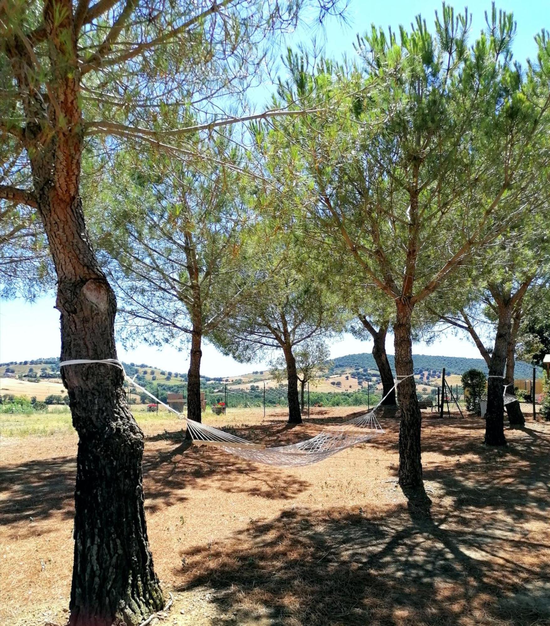 Agriturismo Boschetto Di Montiano Montiano  Cameră foto