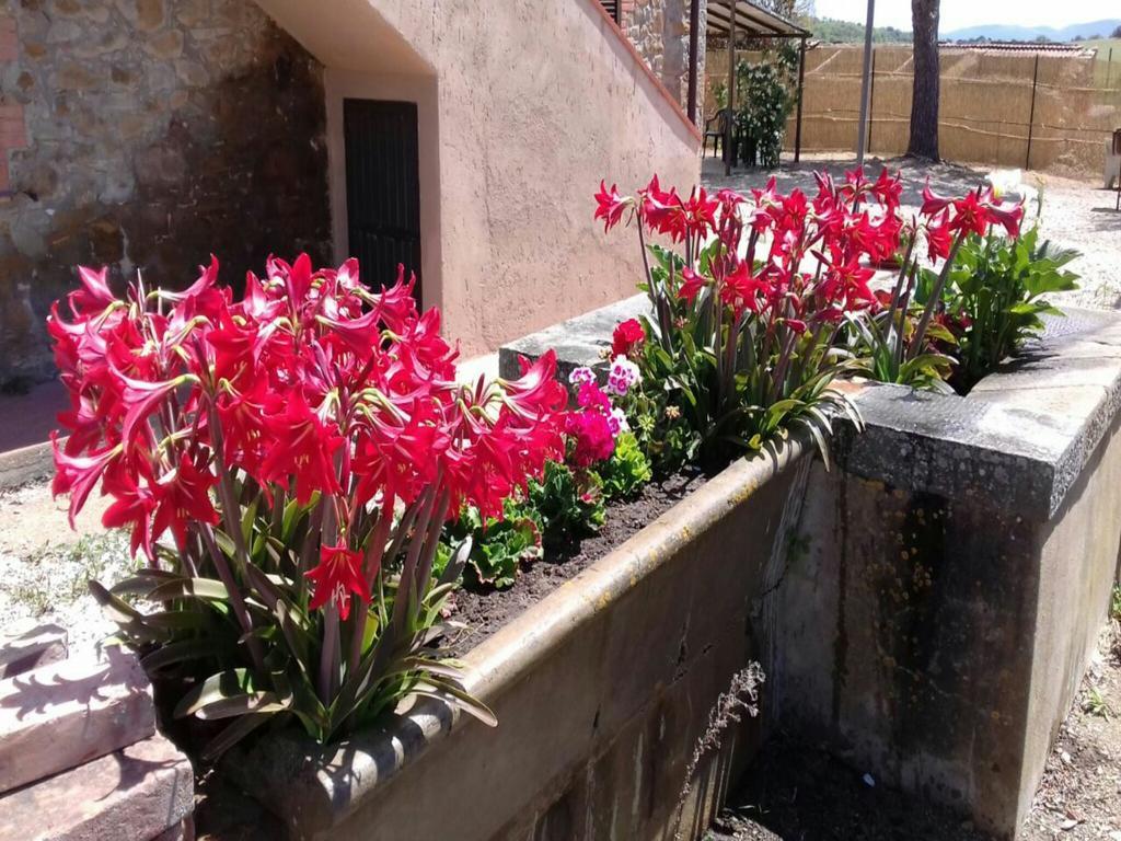 Agriturismo Boschetto Di Montiano Montiano  Exterior foto