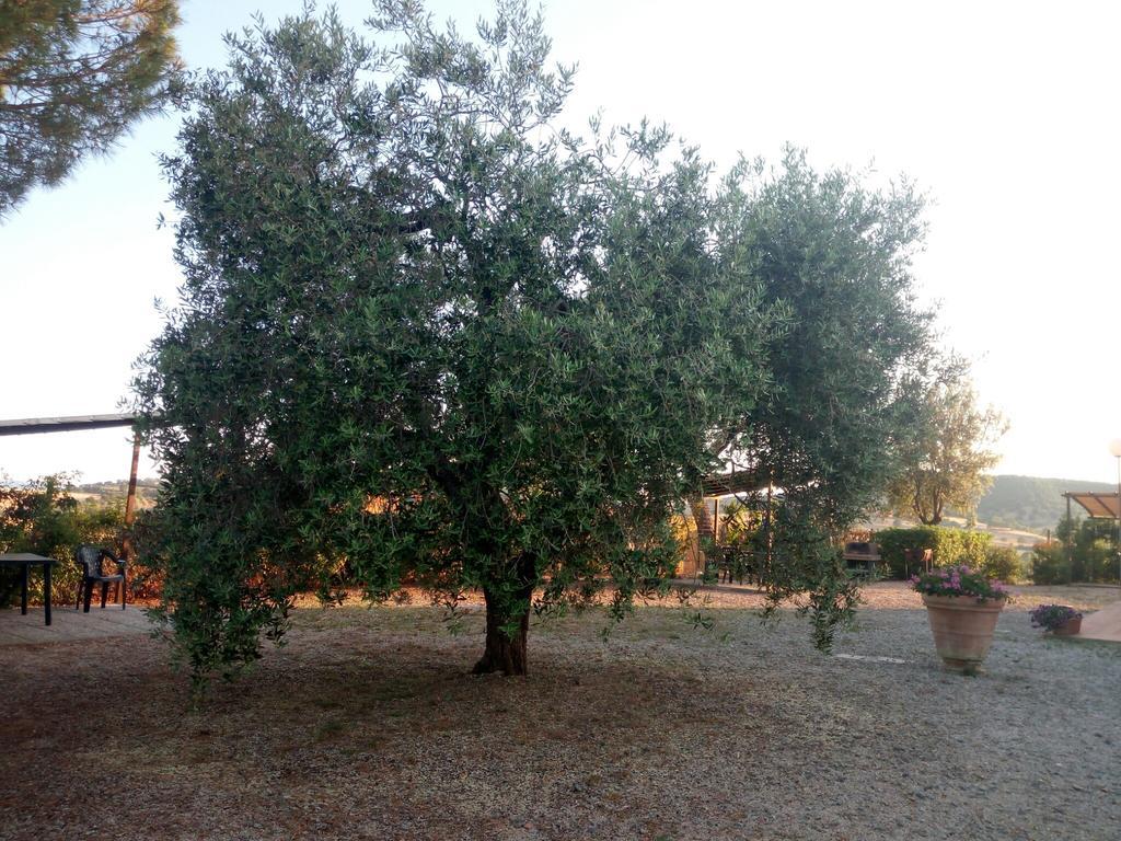Agriturismo Boschetto Di Montiano Montiano  Exterior foto